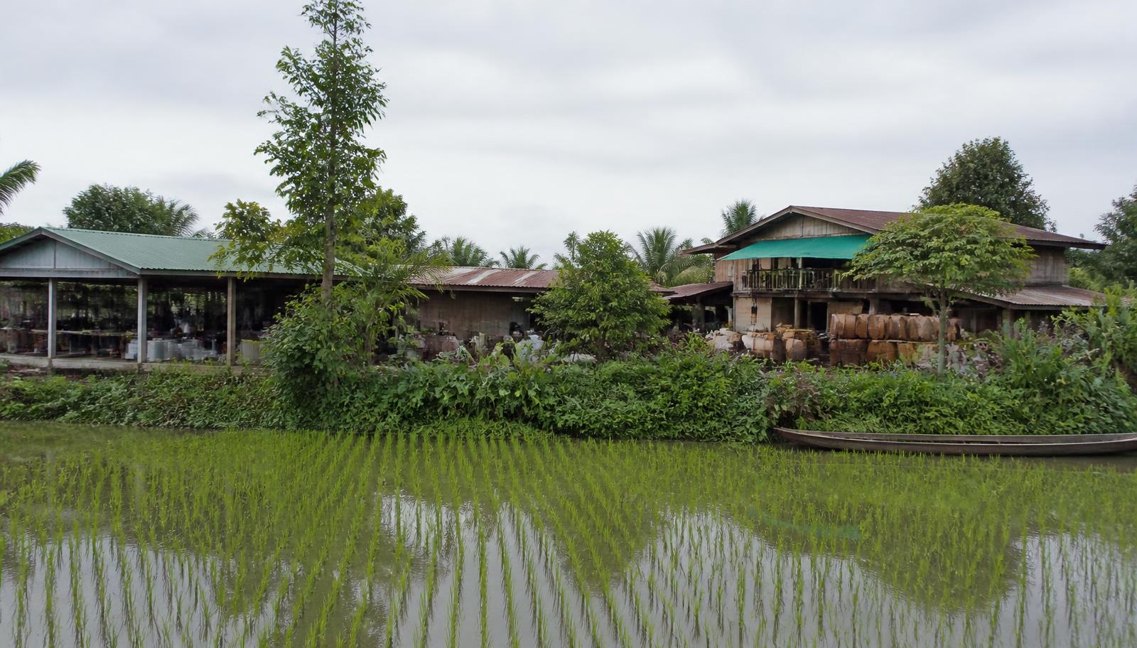 บรรยากาศพื้นที่เศรษฐกิจของอ่างทอง